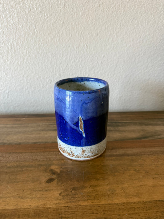 Blue & White Stein