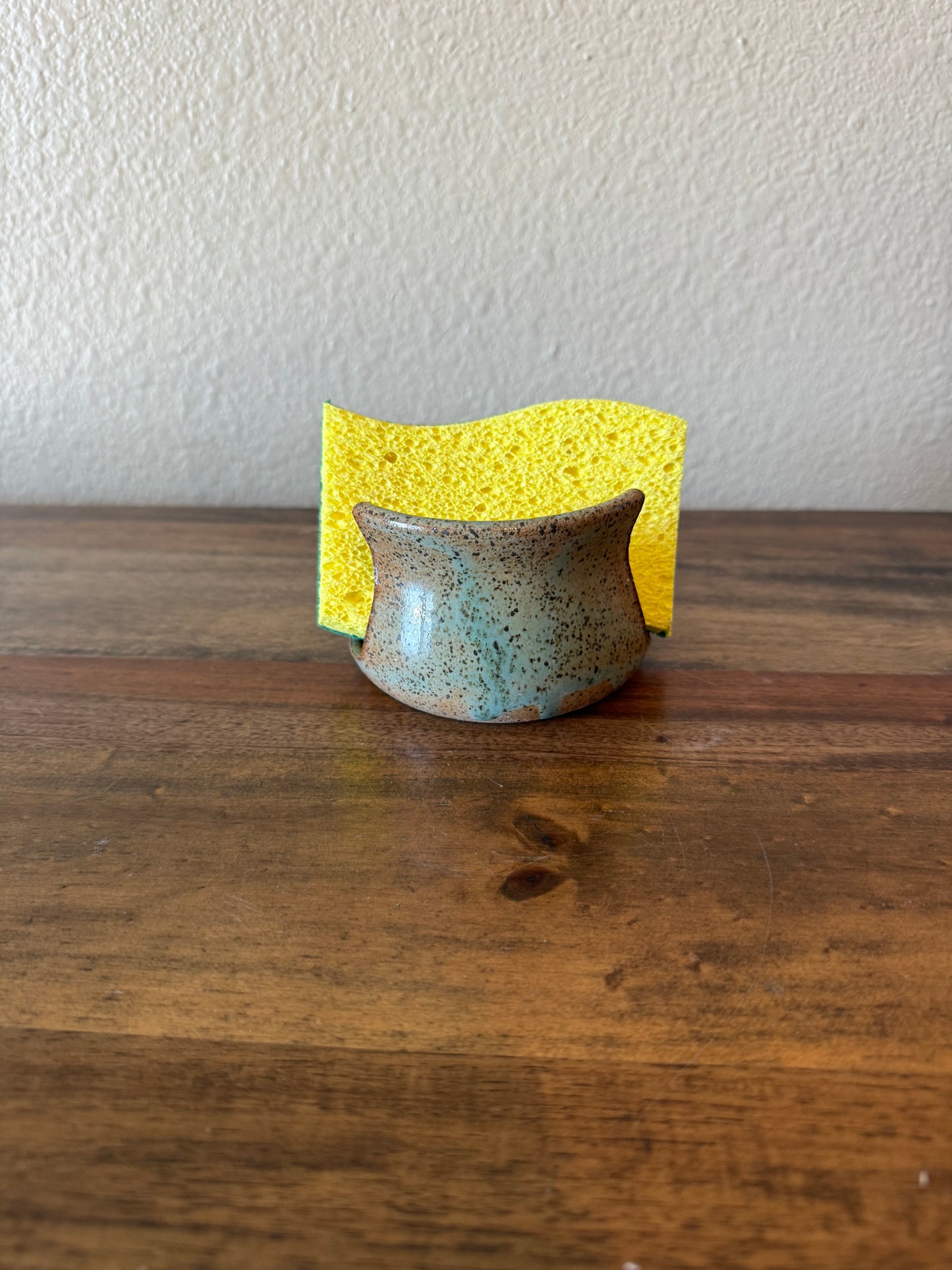 Robins Egg Sponge Holder